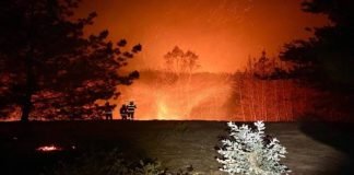Incendio forestal en Valparaíso deja 40 viviendas dañadas