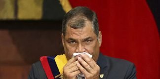 Bélgica rechaza la extradición de Rafael Correa solicitada por Ecuador