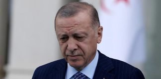 Las razones de Turquía para bloquear la entrada en la OTAN de Finlandia y Suecia