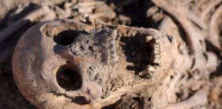 Una periodista polaca se sumerge en las heridas de la Guerra Civil: “El olvido total no existe y España es el ejemplo”