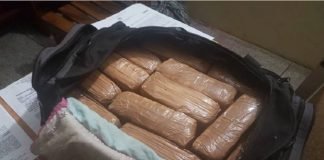 Llevaban 31 panelas de marihuana en un transporte público
