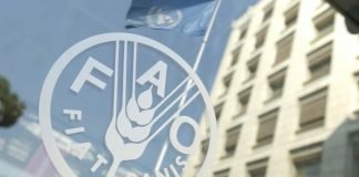 El bloqueo de la agricultura ucraniana amenaza con llevar hambre al mundo