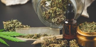 Argentina aprueba ley para promover el sector del cannabis medicinal