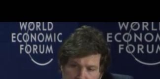 Milei: entre el rock y la planilla de excel en accion