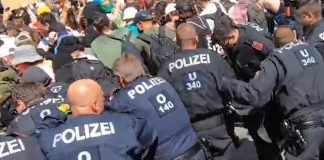 CHRONIK Wien/Austria (German/Spanish)