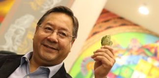 Gobierno de Bolivia industrializará la hoja de coca