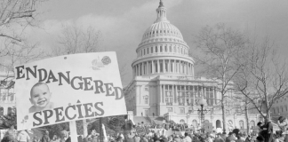 El Tribunal Supremo de Estados Unidos anula el caso Roe V. Wade y deja en manos de los Estados las restricciones al aborto