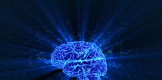 El cerebrocentrismo, no todo en la vida es “neuro”