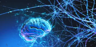 El nuevo análisis de eneatipos emocionales y de personalidades según la Psicología Moderna