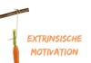 Extrinsische Motivation endlich verständlich erklärt (German/Spanish)
