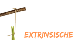 Extrinsische Motivation endlich verständlich erklärt (German/Spanish)