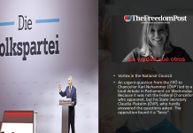 PLAKOLM INSTEAD OF NEHAMMER in AUSTRIA