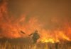 Los incendios forestales queman en España 100.000 hectáreas en dos semanas