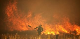 Los incendios forestales queman en España 100.000 hectáreas en dos semanas
