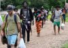 Detienen a «coyotes» tras abandonar a venezolanos en el Darién