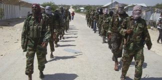 Tropas de EEUU y somalíes matan a 13 terroristas de Al Shabab