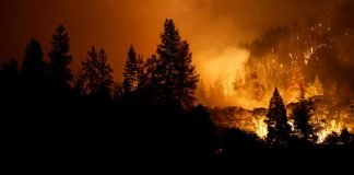 Intensas llamas en California han dejado cuatro muertos