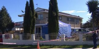 Hallan cadáveres de niños en maletas subastadas