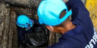 En Tailandia usan a presos para limpiar las alcantarillas