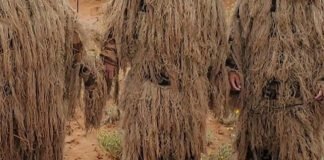 EEUU: Migrantes camuflados son descubiertos en Nuevo México