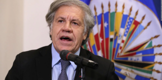 Almagro espera trabajar con Petro para “fortalecer la democracia” en el continente