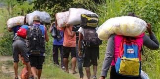 Dirigente chavista llamó “idiotas” a los venezolanos que cruzan la selva del Darién