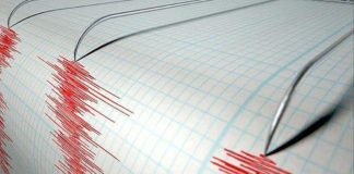 Terremoto de magnitud 5,3 sacude Fukushima
