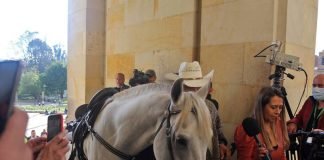 Senador ingresó al Congreso de Colombia con un caballo alegando que es su mascota