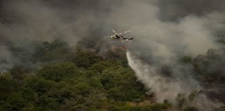 España suma 54 grandes incendios forestales, la cifra más alta desde 2012