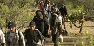 Los peores criminales venezolanos serían liberados en la frontera de EE.UU., según informe de inteligencia