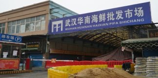 Descubren nuevo virus en Wuhan