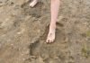 Hallaron otras huellas de un “Pie Grande”