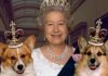 El príncipe Andrés y Sarah Ferguson heredan los corgis de Isabel II