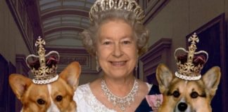 El príncipe Andrés y Sarah Ferguson heredan los corgis de Isabel II