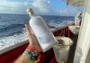 Hallan en Florida un botella arrojada por científicos hace año y medio