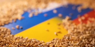 Rusia abandona el acuerdo de exportación de grano de Ucrania
