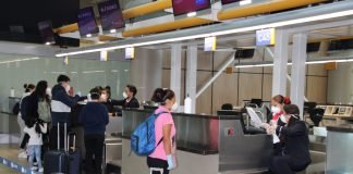 Persisten cancelaciones y retrasos en los principales aeropuertos de Florida