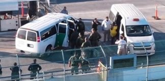 Agencia de la ONU señaló preocupación por expulsiones de venezolanos en EEUU