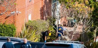 La Policía confirma que el ataque al marido de Nancy Pelosi fue intencional