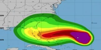 Florida declara el estado de emergencia ante llegada de Nicole