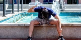 OMS: El calor dejó al menos 15.000 fallecidos en Europa