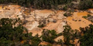 SOS Orinoco denuncia la gravedad del Arco Minero