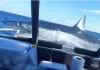 El momento en que un gran tiburón saltó encima de un barco de pesca