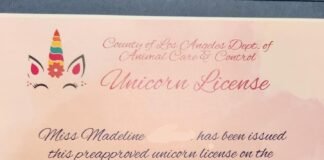 Niña consiguió permiso en EEUU para tener su propio unicornio