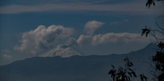 Volcán Cotopaxi emana columna de 900 metros de vapor y poca ceniza
