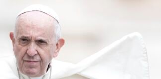 Papa Francisco expresa su «gratitud» a Benedicto XVI