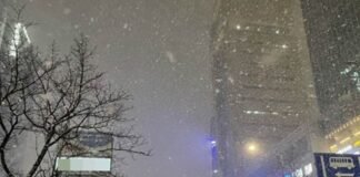 Fuertes nevadas azotan a gran parte de Corea del Sur