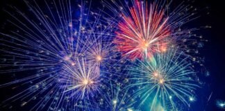 ¿Sabias por qué científicos de República Checa piden la prohibición de la pirotecnia?