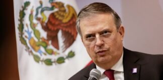 Canciller Ebrard: «Si Pedro Castillo pide asilo a México, se lo damos»