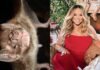 Murciélagos superan en gama de sonidos a Mariah Carey, según estudio